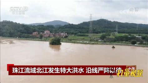 北江洪水实况视频高清