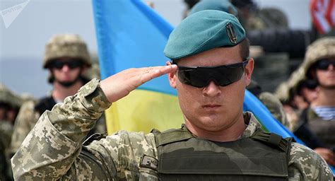 北约训练乌克兰军队多少年