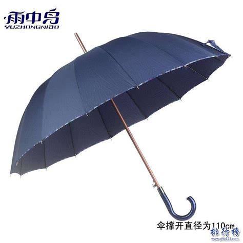 十大最耐用雨伞品牌