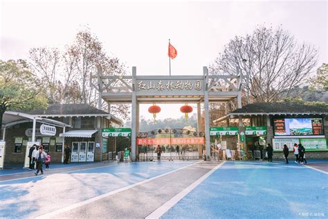 南京红山森林动物园门票多少钱