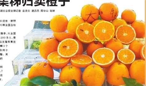 南昌晚报卖橙子