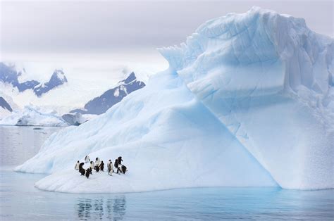 南极墙外的世界照片