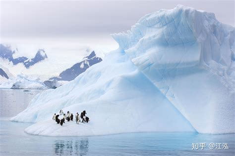 南极大陆被冰封前