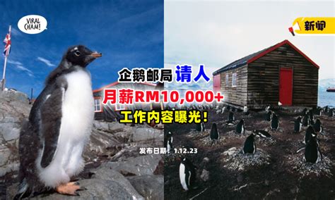 南极月薪2万的工作