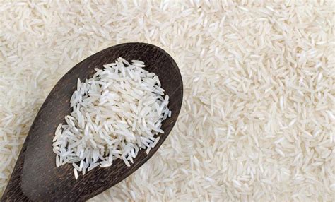 印度进口大米多少钱一吨
