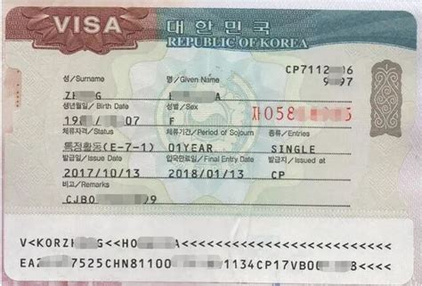 去韩国办一个月的工作签证多少钱