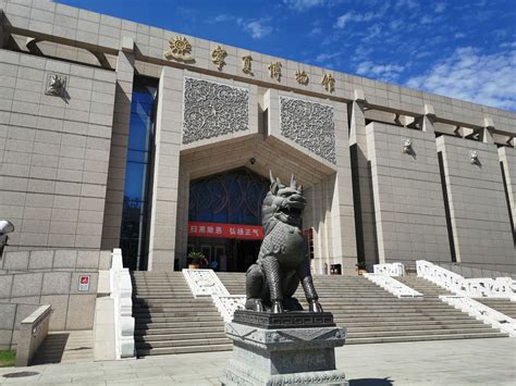 参观宁夏博物馆的心得体会