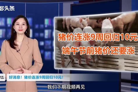发改委官网猪价最新发布消息