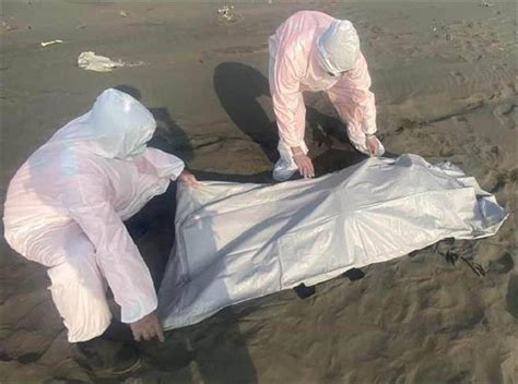 台湾发现24具浮尸