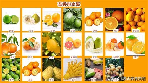 台湾水果种类名字大全