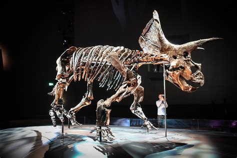 史上保存最完整恐龙尸体