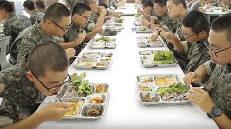 各国网民看韩国部队伙食