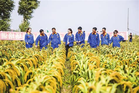 吉林省农业机械推广