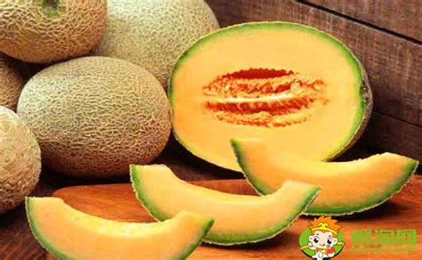哈密瓜的里面的籽可以吃吗