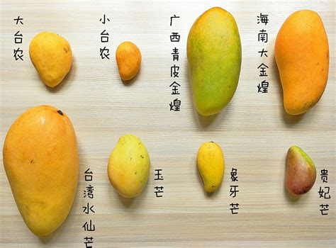 哪种芒果核可以种