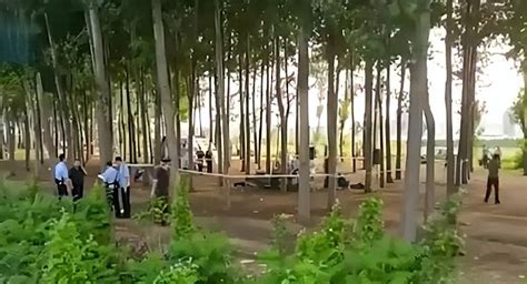 唐山两人树林中遇害加油站监控