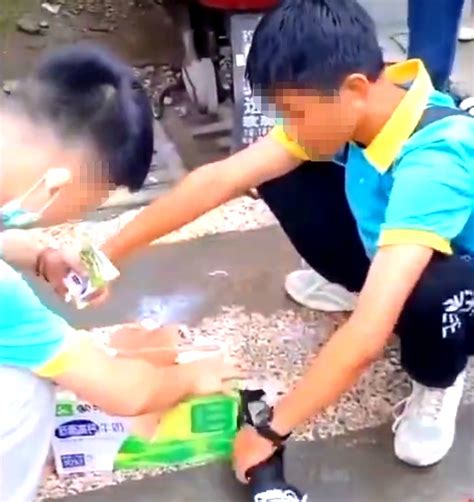 四川两中学生带牛奶去学校