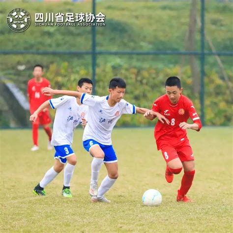 四川省足球协会锦标赛