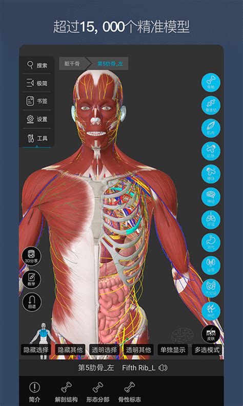 国外3d人体解剖学软件