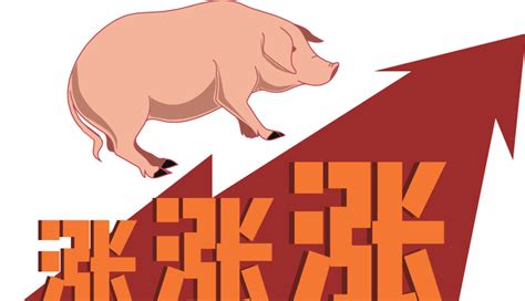 国家发改委关于猪价