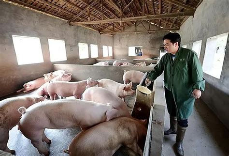 国家发改委谈猪价1月