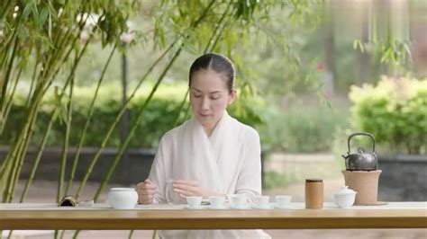 国家级茶艺师表演视频