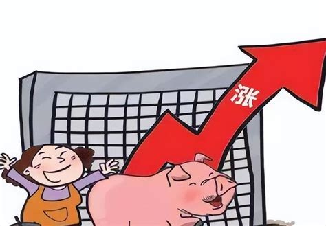 国际猪价走势大涨原因