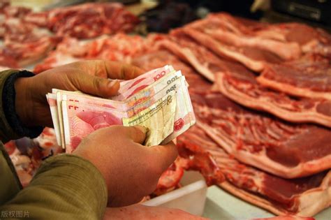 国际猪肉最近猪价