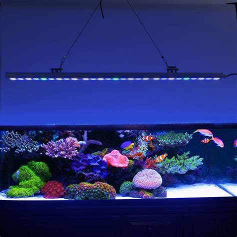 圆形瓷鱼缸照明灯带