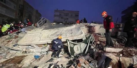 土耳其地震死亡华人数量
