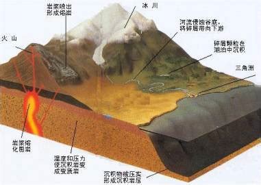 地壳运动的类型及其表现