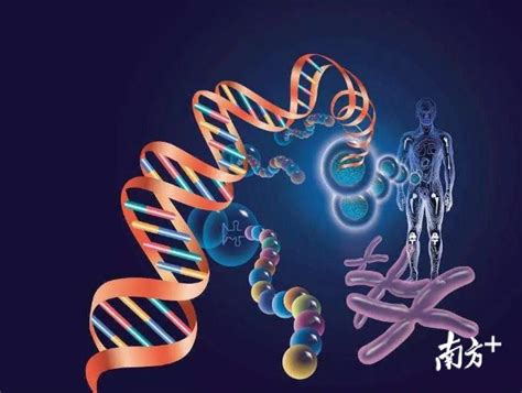 基因与生命本质论文