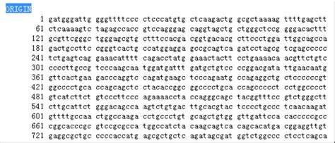 基因序列字母