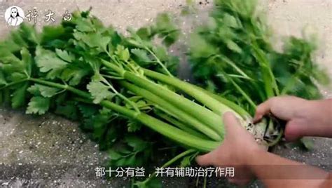 夏芹菜种植绝招视频