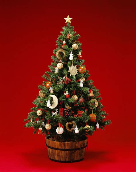 大圣诞树如何装饰好看