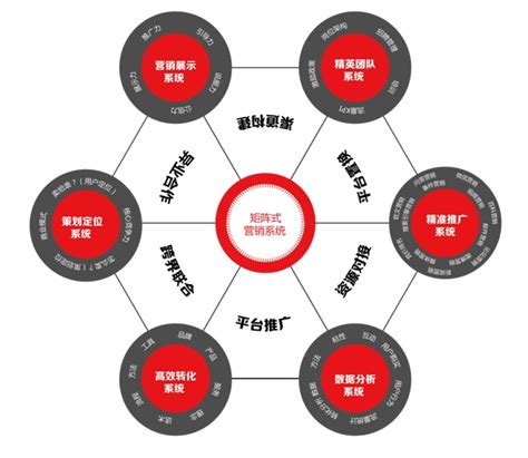 大朗seo矩阵营销系统