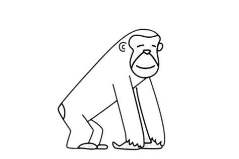 大猩猩的作文怎么写