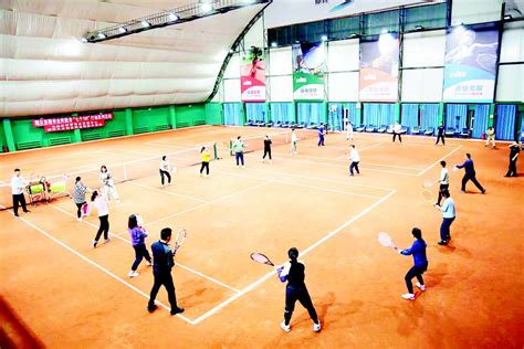 天津网球成人培训