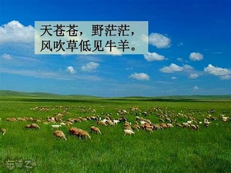 天苍苍风吹草低见牛羊描写哪个省