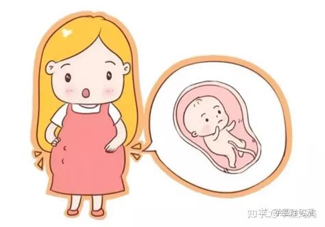 孕几周怕胎儿绕脐带