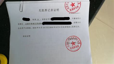 宁夏个人网上开无犯罪记录证明