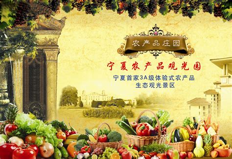 宁夏农产品网站优化