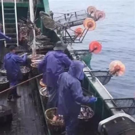 宁波哪里找打鱼工作