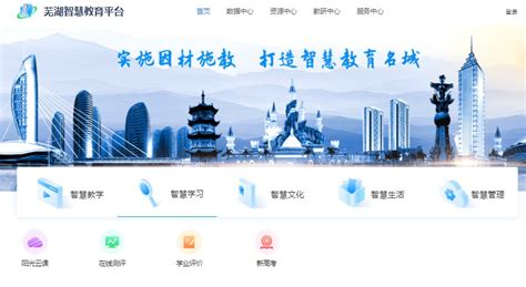 安徽芜湖智慧平台网站
