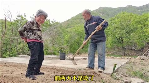 安徽76岁老农民以种地为生