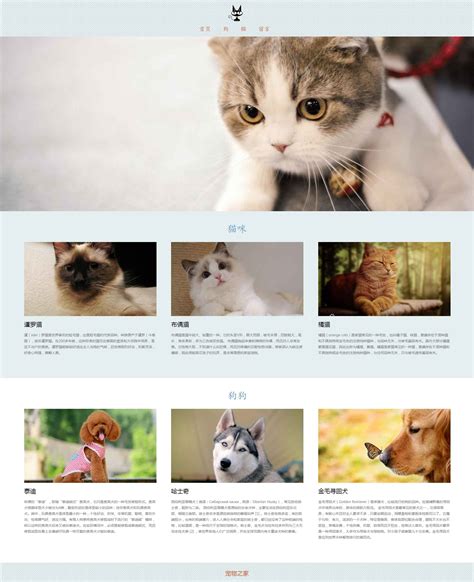 宠物之家网页设计