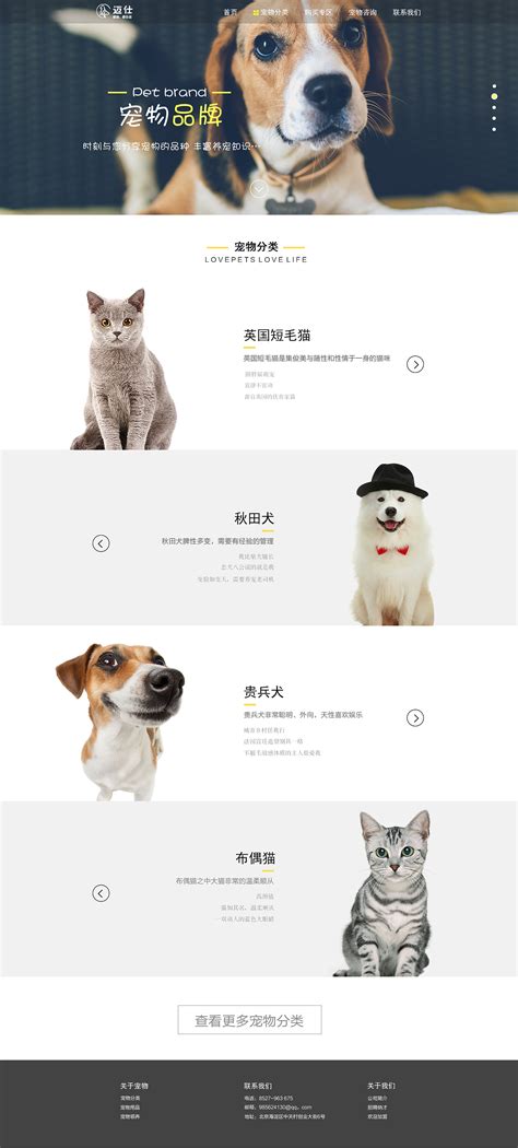 宠物企业官网