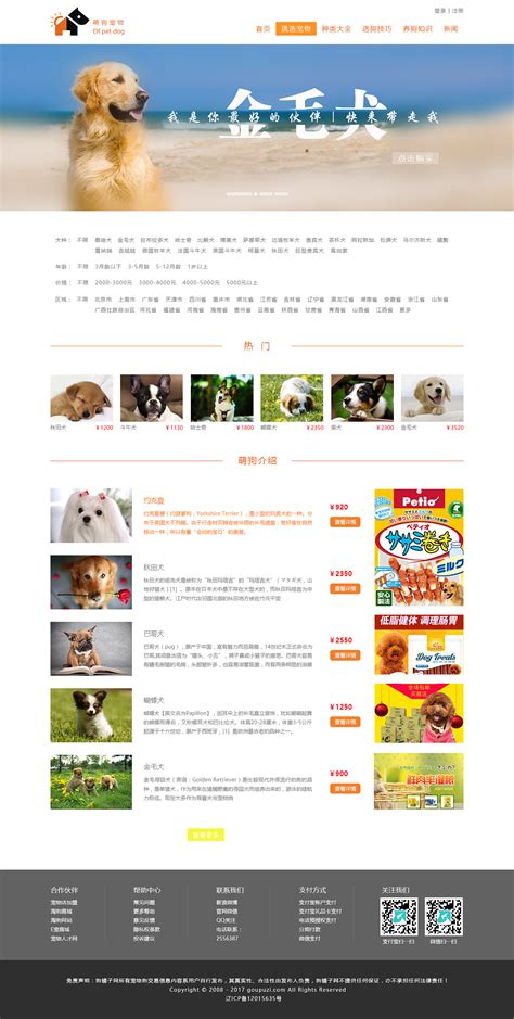 宠物家园网站设计代码大全