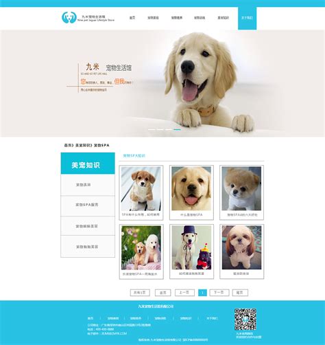 宠物平台网页设计