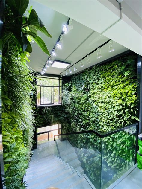 室内植物景观设计案例